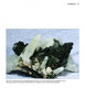 A cluster of bladed, dark green epidote with clear-to-white quartz crystals—classic silicates—is shown on white, as featured in Schiffer Publishing, Ltd.'s Collector's Guide to the Epidote Group.