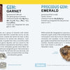 The 50 State Gems and Minerals by Schiffer Publishing, Ltd. is a kids’ guide comparing official state gems and minerals like NY’s garnet and NC’s gold, with emerald art, maps, mineral facts, and more on a yellow background.