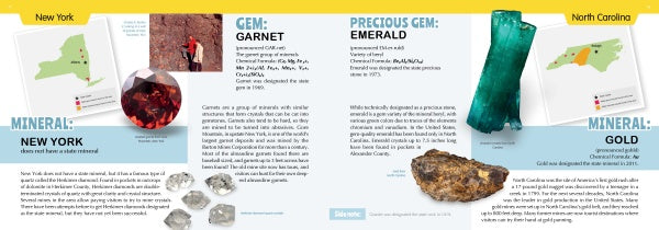 The 50 State Gems and Minerals by Schiffer Publishing, Ltd. is a kids’ guide comparing official state gems and minerals like NY’s garnet and NC’s gold, with emerald art, maps, mineral facts, and more on a yellow background.