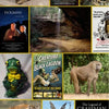 A collage inspired by Strange Ohio Monsters from Schiffer Publishing, Ltd., featuring animals, cryptids, movie posters, and statues—like wallabies, frogs, baboons, Mothman statue, waterfalls, Dogman, and Creature from the Black Lagoon.