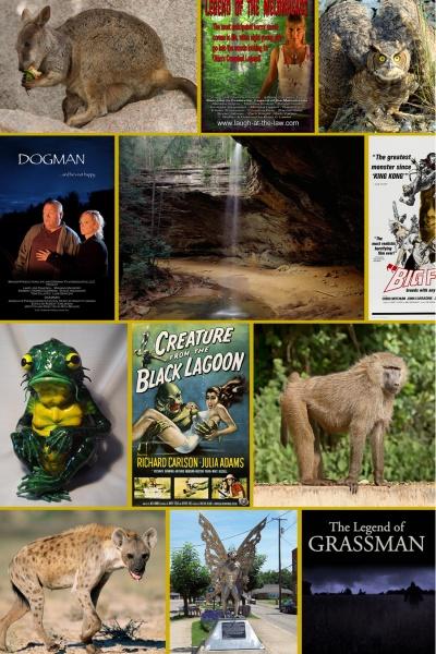 A collage inspired by Strange Ohio Monsters from Schiffer Publishing, Ltd., featuring animals, cryptids, movie posters, and statues—like wallabies, frogs, baboons, Mothman statue, waterfalls, Dogman, and Creature from the Black Lagoon.