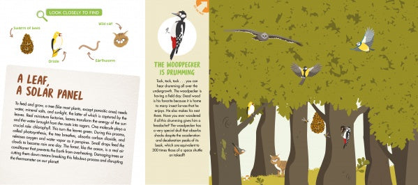 An illustrated spread from The Forest by Schiffer Publishing, Ltd. features birds, bees, and woodland animals. The left page covers leaves and solar panels; the right shows trees, a fox, nests, and includes a giant fold-out poster to explore!.