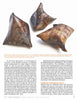 Three small, brown, hand-built ceramic forms from "Pit Firing Ceramics" by Schiffer Publishing, Ltd. rest on a white background—evoking ceramic remnants and illustrating pottery traditions.