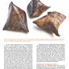 Three small, brown, hand-built ceramic forms from "Pit Firing Ceramics" by Schiffer Publishing, Ltd. rest on a white background—evoking ceramic remnants and illustrating pottery traditions.
