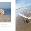 Capture the perfect nature moment with "My Heart Rocks" by Schiffer Publishing, Ltd.—a heart-shaped coral rests on sandy shores beside vibrant shells, waves, and beach treasures under a clear blue sky.