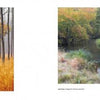 Left: Tall trees with yellow-orange grass in a foggy Pine Barrens forest. Right: A tranquil river winds through vibrant autumn Pinelands, captured in "Pinelands" by Schiffer Publishing, Ltd.—a striking look at New Jersey’s natural beauty.