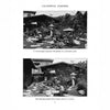 Two black-and-white photos from "California Gardens of the Arts & Crafts Period" by Schiffer Publishing, Ltd. show a hill garden and a stone path with a lantern, illustrating historic California garden design in residential yards.