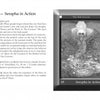 A black-and-white AboraMana book spread from Schiffer Publishing, Ltd. titled "Serapha in Action" shows an angelic figure with wings, radiant headdress, and sphere amid celestial symbols—ideal for fans of feminine wisdom or self-discovery cards.