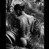 Braziliangels by Schiffer Publishing, Ltd. features a black and white photo of a nude Brazilian woman among tropical plants, sunlight casting leaf patterns on her back—capturing intimate, artistic Brazilian nude photography.