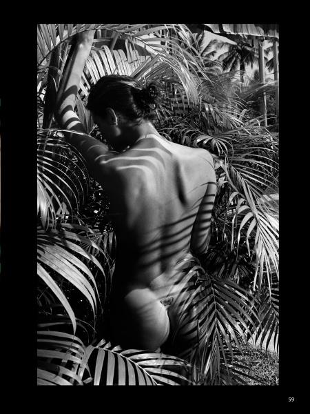 Braziliangels by Schiffer Publishing, Ltd. features a black and white photo of a nude Brazilian woman among tropical plants, sunlight casting leaf patterns on her back—capturing intimate, artistic Brazilian nude photography.