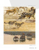 Three horizontal animal paintings featured in "The Contemporary Art of Nature" by Schiffer Publishing, Ltd.: cheetah chasing zebras, two cheetahs running in grass, and four antelopes at a riverbank—ideal for any animal art book collection.