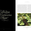 A two-page book spread from The Sinister Beauty of Carnivorous Plants by Schiffer Publishing, Ltd.: the left page shows the title in elegant script on black, while the right displays text on plant conservation and striking pitcher plant photography.