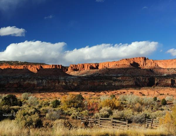 Southwest Reflections by Schiffer Publishing, Ltd. captures red rock cliffs beneath a deep blue sky with scattered clouds, overlooking sunlit shrubs and a weathered wooden fence—a classic Mesa Verde landscape.