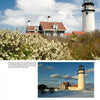 Cape Cod Lighthouses and Lightships by Schiffer Publishing, Ltd. features two photos: one shows a lighthouse and house behind blooming bushes under a blue sky, the other captures the same scene in winter with snow—a delight for lighthouse fans.