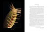 A close-up of a Venus flytrap’s spiky leaves appears on the left page of The Sinister Beauty of Carnivorous Plants by Schiffer Publishing, Ltd.; the right page features a dense foreword in serif text, starting with a large decorative "F.
