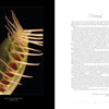 A close-up of a Venus flytrap’s spiky leaves appears on the left page of The Sinister Beauty of Carnivorous Plants by Schiffer Publishing, Ltd.; the right page features a dense foreword in serif text, starting with a large decorative "F.