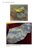 Two photos from "Jewels of the Early Earth" by Schiffer Publishing, Ltd. show gold in quartz: the top displays a large vein in a quartz chunk, while the bottom features gold flecks in quartz on a red surface.