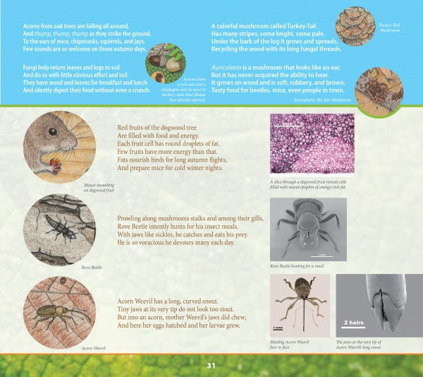 Discover "In Mouse's Backyard" by Schiffer Publishing, Ltd.—a nature guide with acorn and woodland facts, animal photos, plant cell close-ups, electron microscope images, and acorn art on a brown and light blue background.