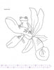 A simple line drawing of a frog on a five-petal flower with detailed leaves, perfect for coloring or inspiring DIY chair projects in "Decorating Chairs: 7 Painting Projects" by Schiffer Publishing, Ltd.