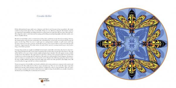 In Nature Mandalas Wonders of the Garden by Schiffer Publishing, Ltd., a spread titled "Cicada Killer" pairs text with a striking mandala of six yellow-and-black wasps—an artistic tribute to insect diversity in the garden.