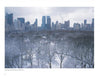 Windows on Central Park" by Schiffer Publishing, Ltd. captures a snowy New York City skyline with frosted trees, evoking the inspiring winter beauty of Central Park.