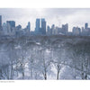 Windows on Central Park" by Schiffer Publishing, Ltd. captures a snowy New York City skyline with frosted trees, evoking the inspiring winter beauty of Central Park.