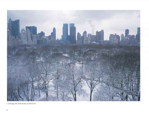 Windows on Central Park" by Schiffer Publishing, Ltd. captures a snowy New York City skyline with frosted trees, evoking the inspiring winter beauty of Central Park.