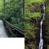 Experience the scenic beauty of Delaware Water Gap National Recreation Area from Schiffer Publishing, Ltd., where a wooden boardwalk meanders through lush forest beside a tall waterfall cascading down a rocky, tree-lined cliff.