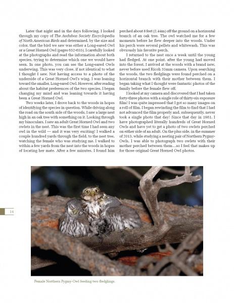 A Great Horned Owl perches on a branch, feeding its young, in a natural setting. This tender moment is showcased in "The Great Horned Owl" from Schiffer Publishing, Ltd., a celebration of North America's iconic owl species.