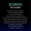 A page from Schiffer Publishing, Ltd.’s "In the Night Sky" features Scorpio traits, the motto “I Desire!”, and October 23—November 21 dates on a dark blue starry background—perfect for young astrology enthusiasts.