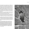 A two-page spread from "Ghosts of Yorktown, Virginia" by Schiffer Publishing, Ltd. features text about the haunted Thomas Nelson House on the left and a black-and-white photo of a brick wall with a cannonball on the right.