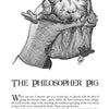 A detailed black-and-white illustration of a guinea pig standing on its hind legs, with the title "37¢ a Fart and Other Infamous Animal Stories" by Schiffer Publishing, Ltd.—a funny book for animal lovers featuring guinea pig and hamster tales.