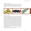 The "Home Smoking Basics" book by Schiffer Publishing, Ltd. features an open page on woods and smoke in cooking, with photos of bay leaves, juniper berries, and rosemary, plus tips on wood chips and effective home meat smoking.