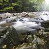 Experience the beauty of New Jersey's parks with "Naturally New Jersey" by Schiffer Publishing, Ltd.—featuring stunning images of rivers winding through mossy rocks and dense forests on misty days.