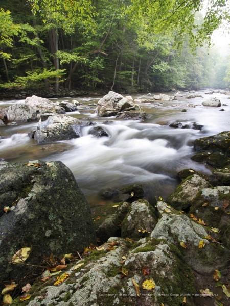 Experience the beauty of New Jersey's parks with "Naturally New Jersey" by Schiffer Publishing, Ltd.—featuring stunning images of rivers winding through mossy rocks and dense forests on misty days.
