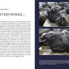 An open copy of "The Gray Curtain" from Schiffer Publishing, Ltd. displays text titled "Seals Are Everywhere..." on the left and, on the right, photos of gray seal groups resting closely together on a rocky shoreline beside the water.