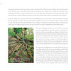 A large tree on the forest floor below Wachusett Mountain highlights Central Massachusetts's lush beauty, as featured in Schiffer Publishing, Ltd.'s "Central Massachusetts Perspectives.