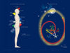 A diagram for "Feeling Great with the Moon" by Schiffer Publishing, Ltd. shows labeled energy points on a human profile beside a colorful five-pointed star within a spiral, all set against a dark blue background.
