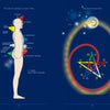 A diagram for "Feeling Great with the Moon" by Schiffer Publishing, Ltd. shows labeled energy points on a human profile beside a colorful five-pointed star within a spiral, all set against a dark blue background.
