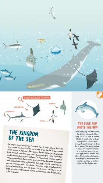 Discover the secrets of the sea in "The Sea" by Schiffer Publishing, Ltd.—an illustrated ocean scene with a large whale, fish, dolphins, sea turtle, labeled animal icons above informative text, plus a panoramic fold-out poster.