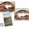 Greetings from Tampa, Florida by Schiffer Publishing, Ltd. includes three vintage postcards: two with giant alligators framing city scenes, and one of downtown streets with historic buildings and cars, all captioned to highlight Tampa landmarks.
