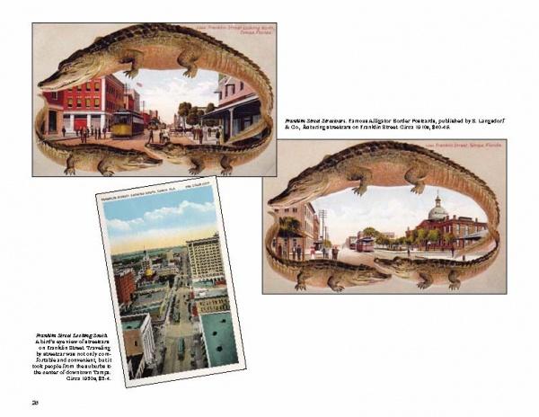 Greetings from Tampa, Florida by Schiffer Publishing, Ltd. includes three vintage postcards: two with giant alligators framing city scenes, and one of downtown streets with historic buildings and cars, all captioned to highlight Tampa landmarks.