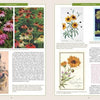 A spread from "The Graphic Flower" by Schiffer Publishing, Ltd. showcases vibrant photos and vintage botanical illustrations of coneflowers, coreopsis, and daisies, complete with captions and descriptive plant text.