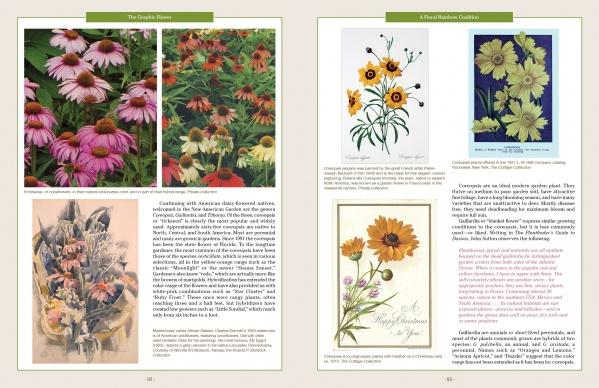 A spread from "The Graphic Flower" by Schiffer Publishing, Ltd. showcases vibrant photos and vintage botanical illustrations of coneflowers, coreopsis, and daisies, complete with captions and descriptive plant text.