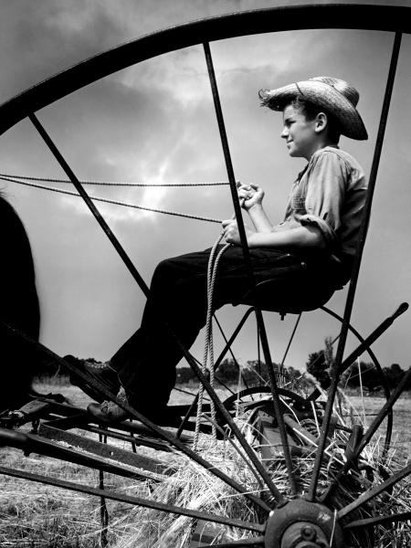 Bodine's Industry" by Schiffer Publishing, Ltd. features a striking black-and-white photo: a boy in a straw hat, holding reins atop old farm equipment, framed by metal spokes against a cloudy sky and open field.