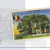 The contents page of Greetings from Gettysburg by Schiffer Publishing, Ltd. shows a colorful vintage postcard with trees, cannons, and U.S. flags. Chapter titles and page numbers are on the right, publication info on the left.