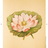 Lilies & Magnolias" by Schiffer Publishing, Ltd. features a detailed lotus illustration with white and pink petals, large green leaves, and a yellow center, inspired by antique botanical art on a light beige background.