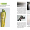 A two-page spread from "Sculptural Secrets for Mosaics" by Schiffer Publishing, Ltd. shows an embroidered yellow fabric on the left, and step-by-step photos and text detailing its creation with texture paste, mosaic techniques, and tools on the right.