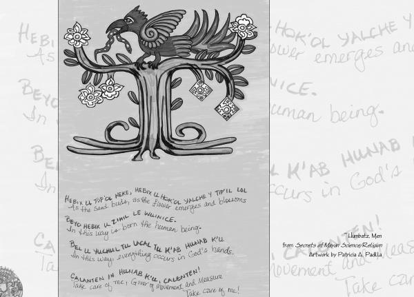 Black and white illustration of a bird on a tree with flowers. Handwritten English and unknown text on Mesoamerican divination surrounds it. "The Star Road Map" by Schiffer Publishing, Ltd. credit appears in the lower right corner.