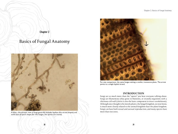 A spread from Spalting 101 by Schiffer Publishing, Ltd. shows "Basics of Fungal Anatomy," featuring a microscopic fungi image and a close-up of spalting structures, both with captions detailing DIY spalting techniques.
